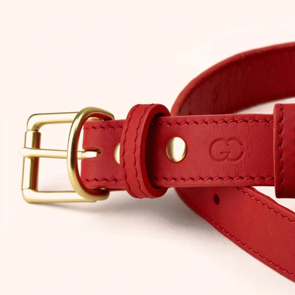 Collar and leash set from Genuine Canine